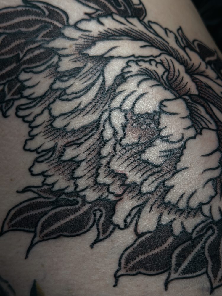 Detailed blackwork botanical close-up